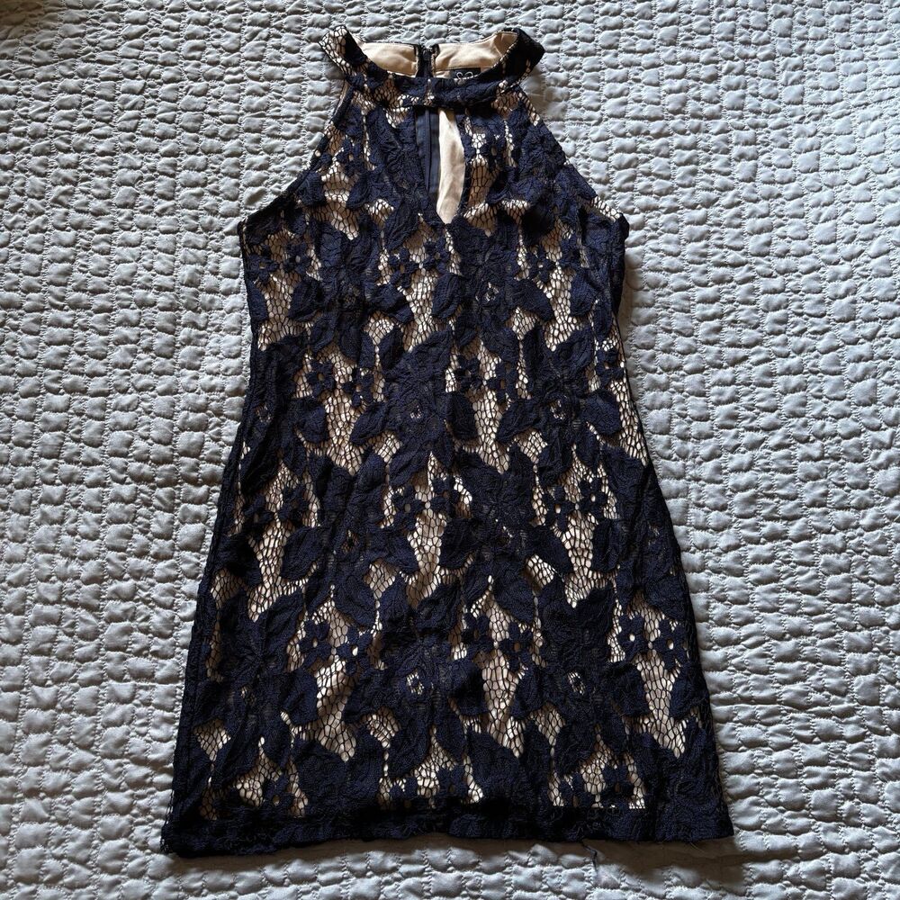 Windsor Black and Lace Nude Dress